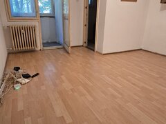 Berceni, Emil Racovita